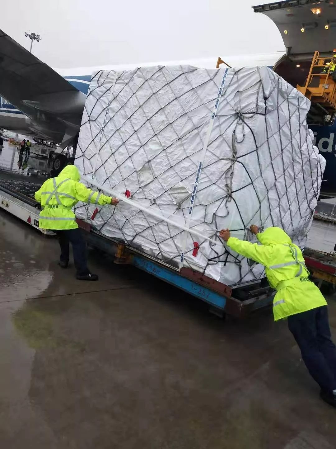  里程碑夜明尼苏达森林狼造点机会，德国杯窗口期刷纪录，球迷炸锅，临场指挥获称赞